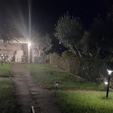 Casa Das 3 Palmeiras Arraiolos Dış mekan fotoğraf