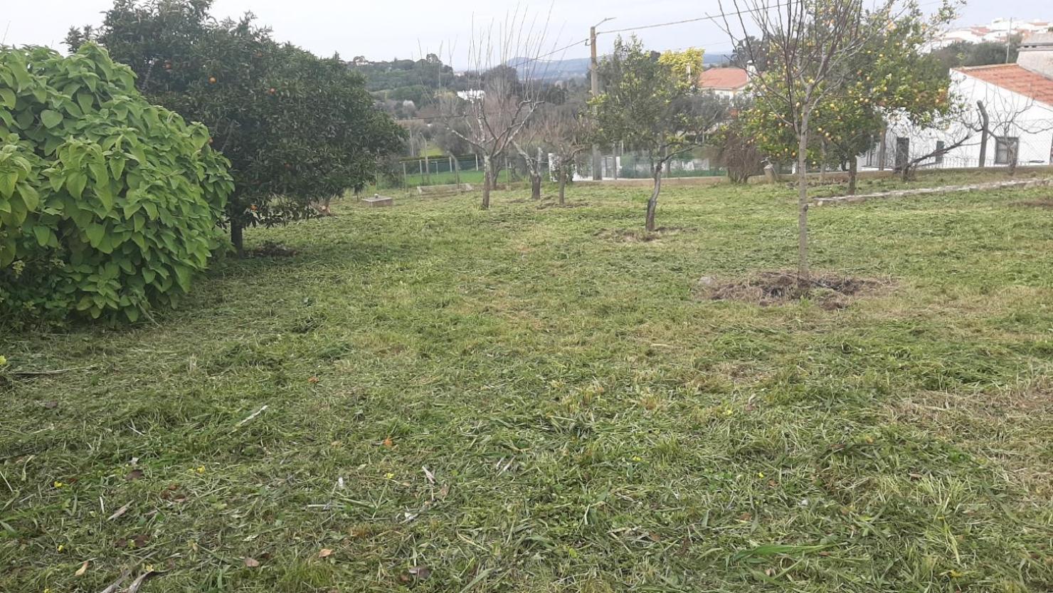 Casa Das 3 Palmeiras Arraiolos Dış mekan fotoğraf